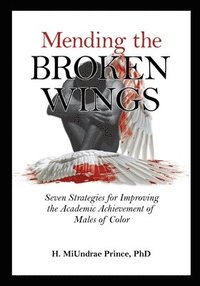 bokomslag Mending the Broken Wings