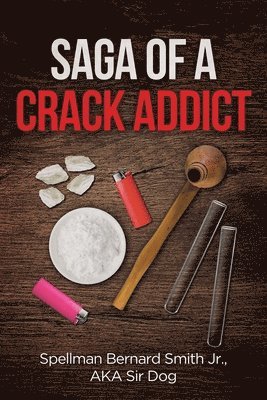 Saga of a Crack Addict 1