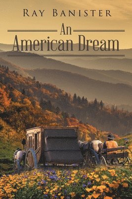 bokomslag American Dream