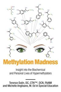 bokomslag Methylation Madness