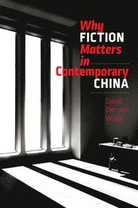 bokomslag Why Fiction Matters in Contemporary China