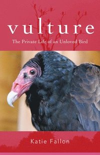 bokomslag Vulture  The Private Life of an Unloved Bird