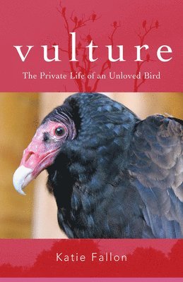 bokomslag Vulture - The Private Life of an Unloved Bird