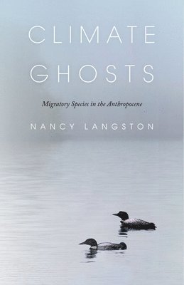 bokomslag Climate Ghosts - Migratory Species in the Anthropocene