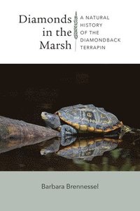 bokomslag Diamonds in the Marsh - A Natural History of the Diamondback Terrapin