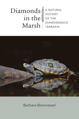 Diamonds in the Marsh - A Natural History of the Diamondback Terrapin 1