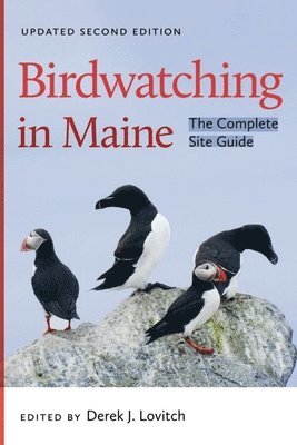 Birdwatching in Maine 1