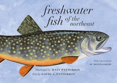 David A. Patterson - Freshwater Fish of the Northeast, Häftad