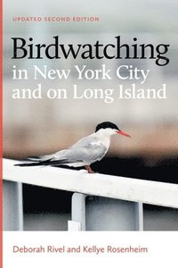 bokomslag Birdwatching in New York City and on Long Island