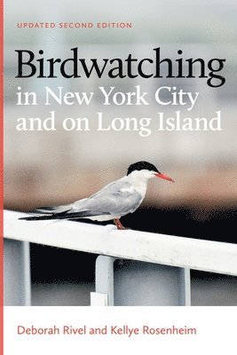 Birdwatching in New York City and on Long Island 1