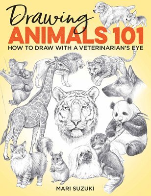 bokomslag Drawing Animals 101