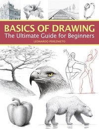 bokomslag Basics of Drawing