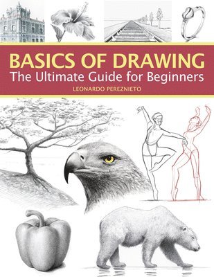 Basics of Drawing 1