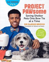 bokomslag Project PAWsome: Saving Shelter Pets One Bow Tie at a Time