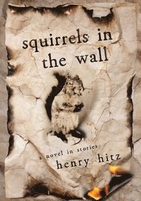 bokomslag Squirrels¿in the Wall