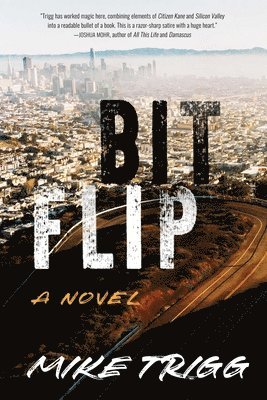 Bit Flip 1