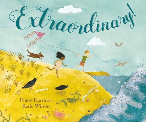 Penny Harrison - Extraordinary!, Inbunden