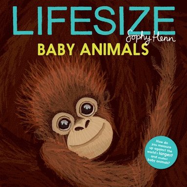 bokomslag Lifesize Baby Animals