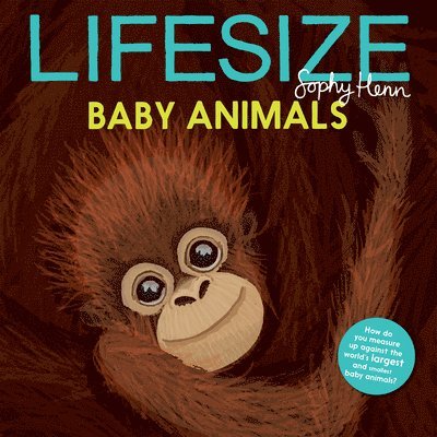 Lifesize Baby Animals 1