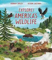 bokomslag Explore! America's Wildlife