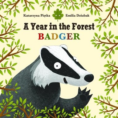 bokomslag A Year in the Forest with Badger