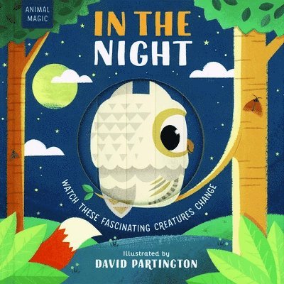 In the Night 1