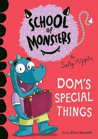 bokomslag Dom's Special Things