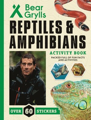 bokomslag Reptiles and Amphibians