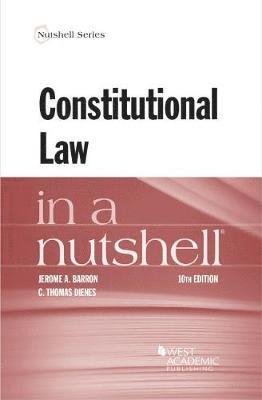 bokomslag Constitutional Law in a Nutshell