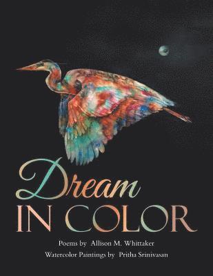 Dream in Color 1