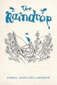 bokomslag Raindrop