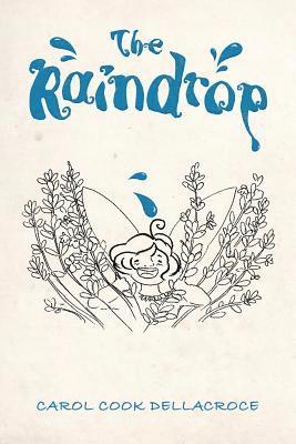 bokomslag Raindrop