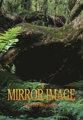 The Mirror Image 1