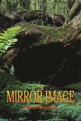 The Mirror Image 1