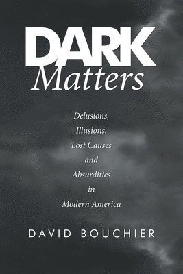 bokomslag Dark Matters