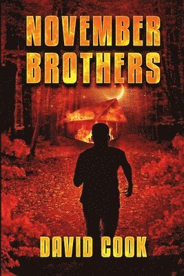 bokomslag November Brothers