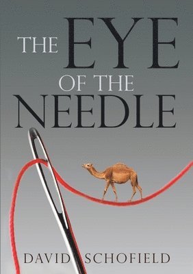 bokomslag The Eye of the Needle