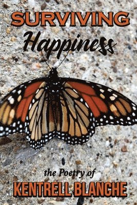 bokomslag Surviving Happiness