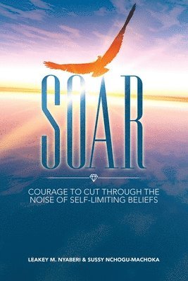 Soar 1