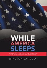 bokomslag While America Sleeps