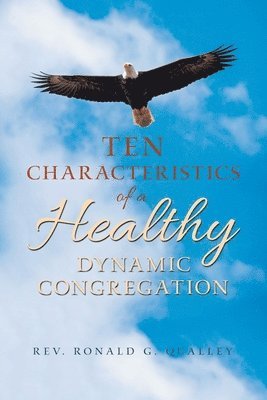 bokomslag Ten Characteristics of a Healthy Dynamic Congregation