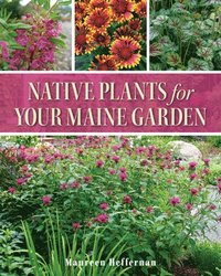 bokomslag Native Plants for Your Maine Garden