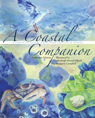 A Coastal Companion 1