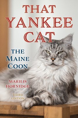 That Yankee Cat 1