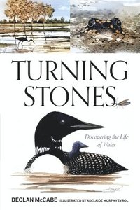bokomslag Turning Stones