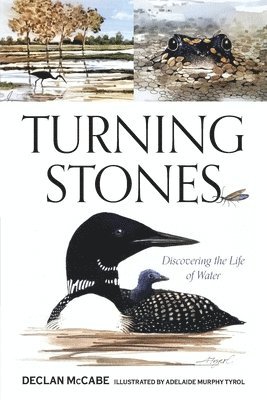 Turning Stones 1