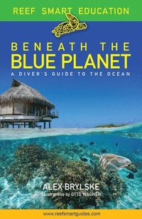 bokomslag Beneath the Blue Planet