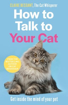 bokomslag How to Talk to Your Cat: Get Inside the Mind of Your Pet