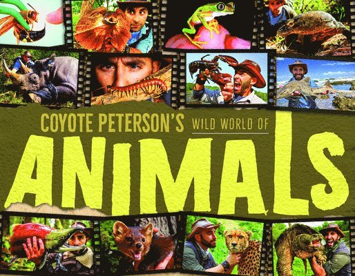 Coyote Peterson's Wild World of Animals 1