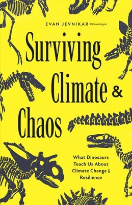 Surviving Climate and Chaos